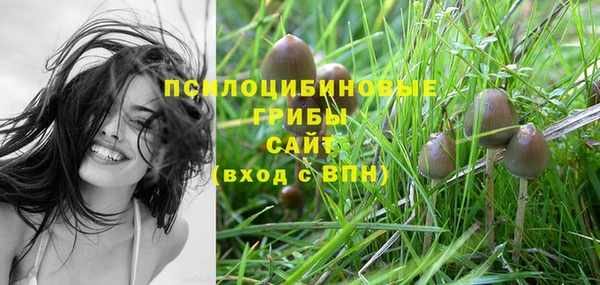 спиды Новокубанск