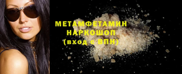 сатива Няндома