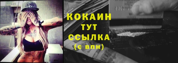 ешки Новодвинск