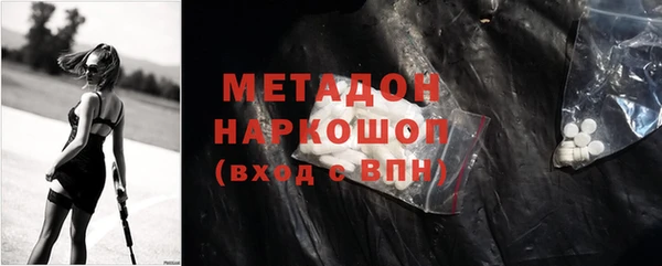 сатива Няндома