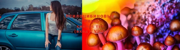 спиды Новокубанск