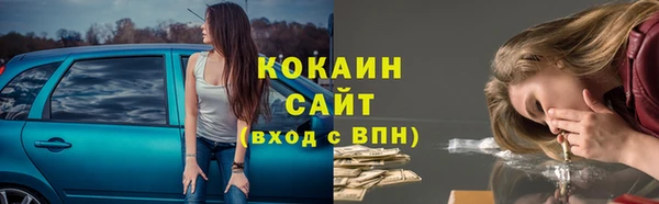 сатива Няндома