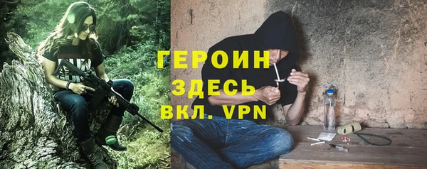 сатива Няндома